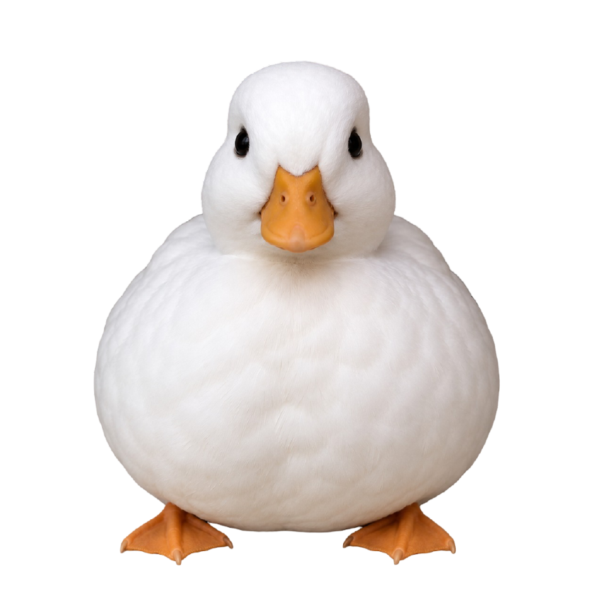 Chubby Duck